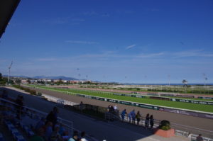 Cagnes sur mer, son hippodrome et sa vue imprenable sur la grande Bleue qui en fait l'un des plus beaux du monde. 2 pistes, une de trot, plusieurs pistes d'entraînements et deux magnifiques ronds pour concours hippiques font de ce domaine hippique l'un des plus appréciés de la planète course.