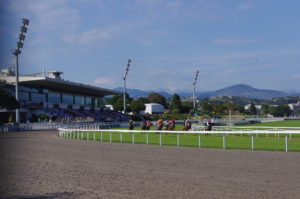 Les chevaux se mesurent tout au long de l'année sur l'hippodrome de la Côte d'Azur