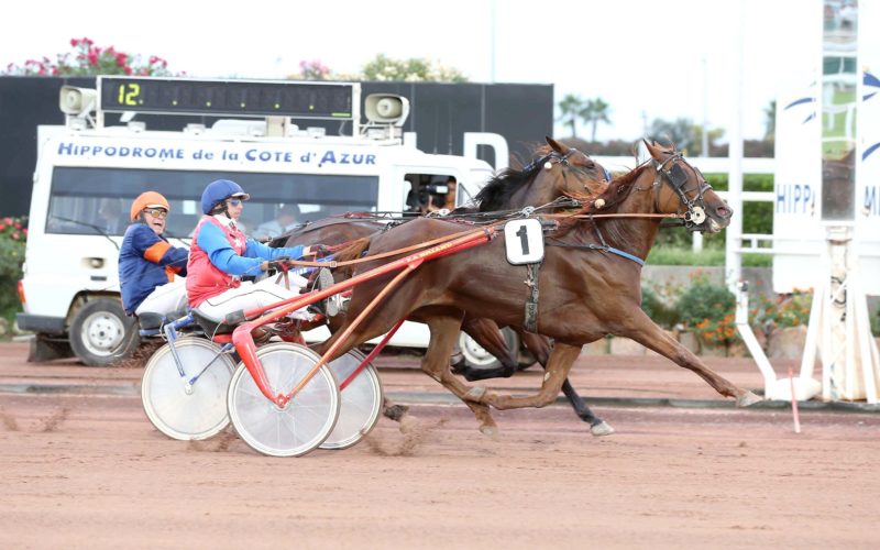 Victoire de Costa d'Occagnes qui passe le poteau en tête et bat son adversaire d'une tête