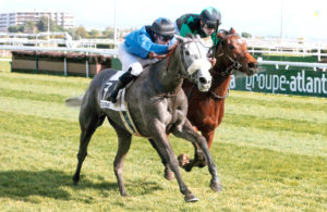 Lutte entre deux chevaux sur la piste de Cagnes sur mer. Victoire de Never say never.