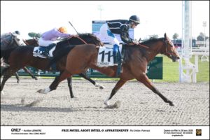 Gagnant quinté Motel Ascot