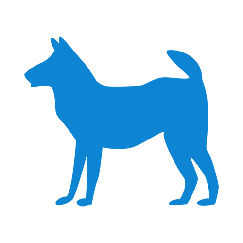 Le motel Ascot accepte dans son établissement les animaux domestiques ( chien et chats) sous certaines conditions et acceptation de la direction.